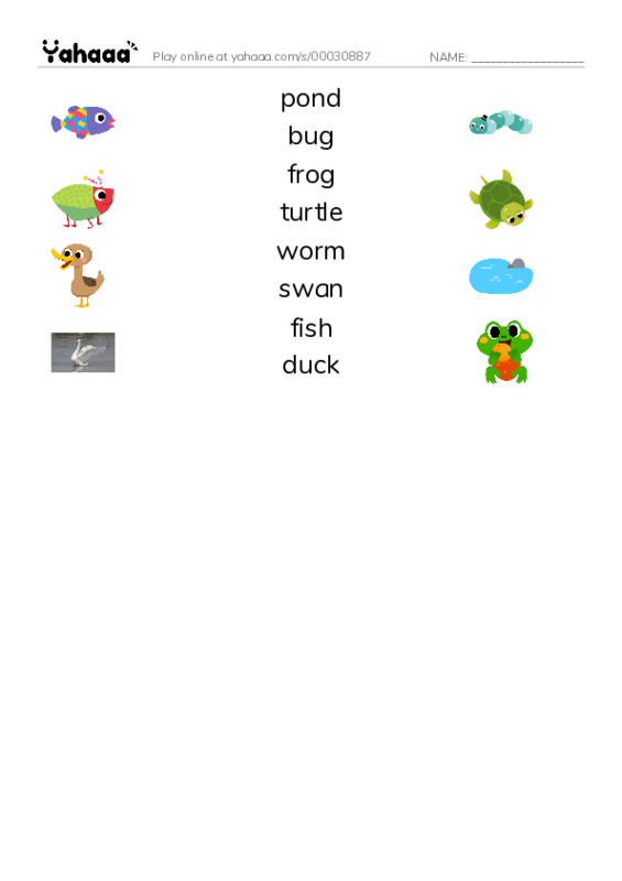 Match both sides worksheet for pond, bug, frog and 5 more