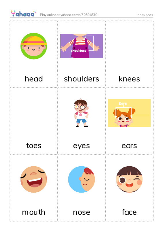 Picture flashcards worksheet for body parts