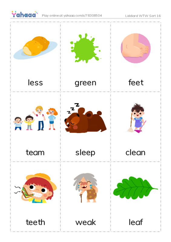 Picture flashcards worksheet for Liddiard WTW Sort 16