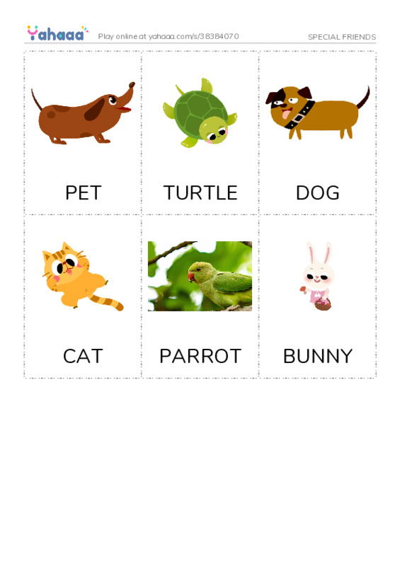Picture flashcards worksheet for SPECIAL FRIENDS