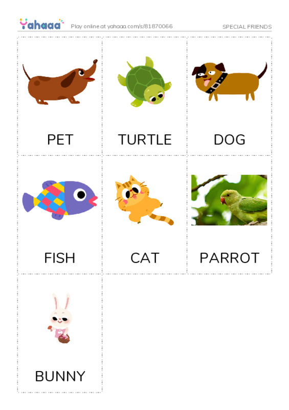 Picture flashcards worksheet for SPECIAL FRIENDS