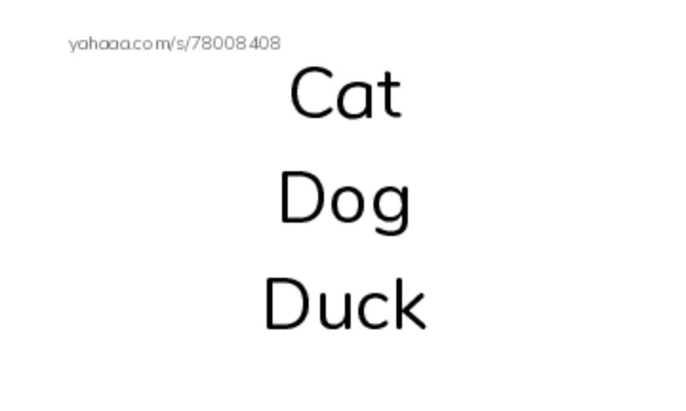 Index cards, words only worksheet for Animal