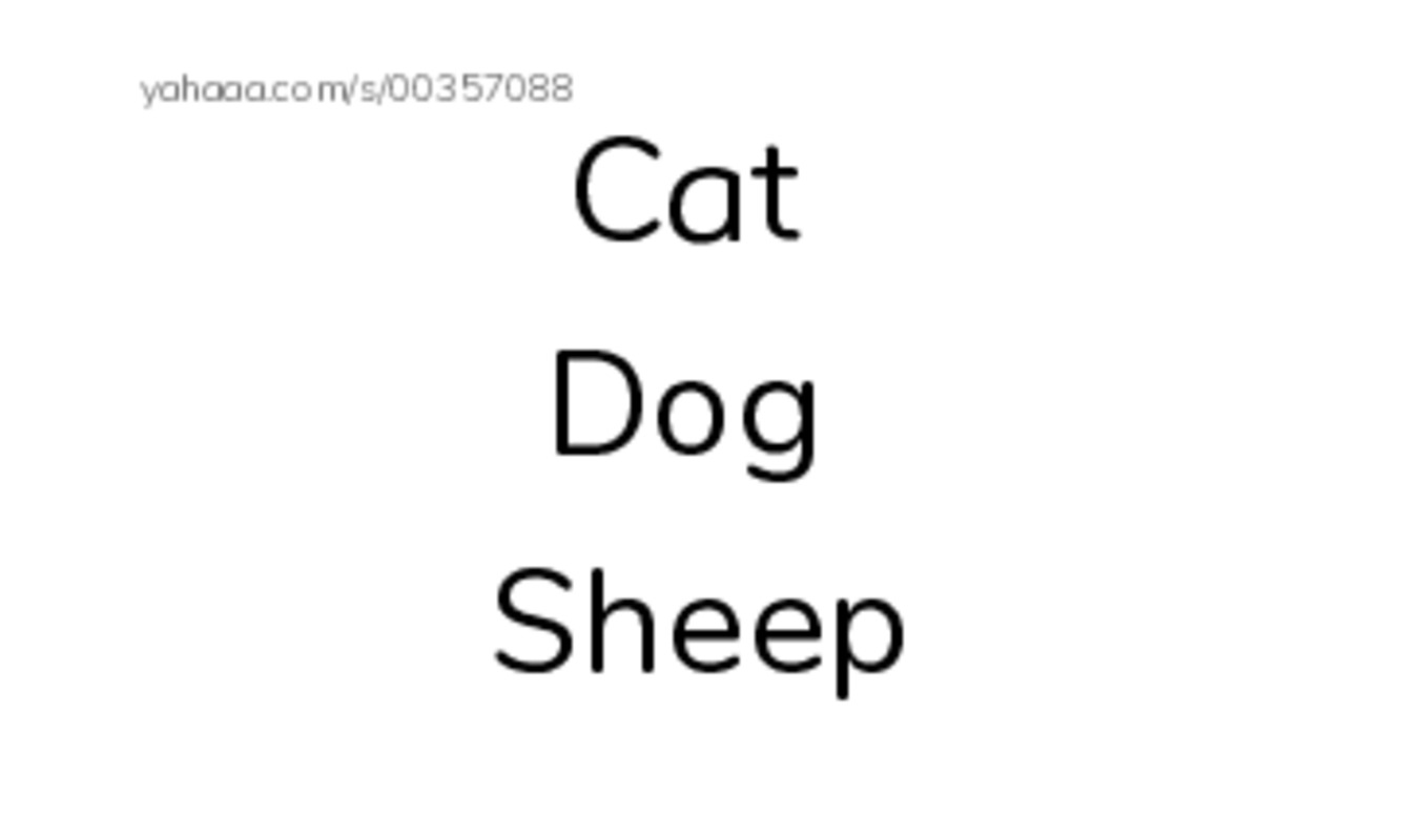 Index cards, words only worksheet for Animal
