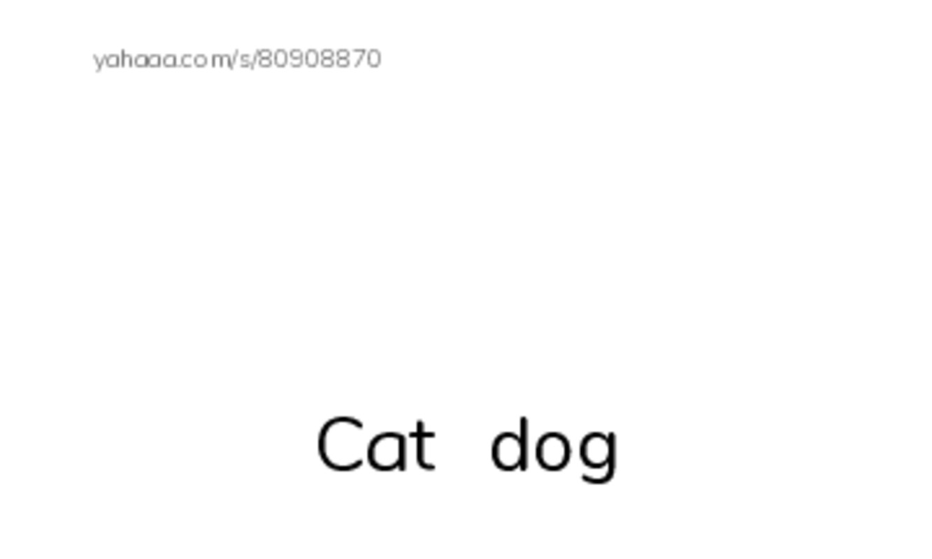 Index cards with pictures worksheet for Animal
