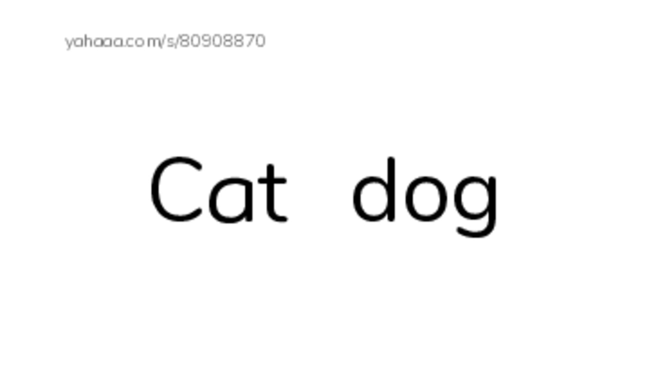 Index cards, words only worksheet for Animal