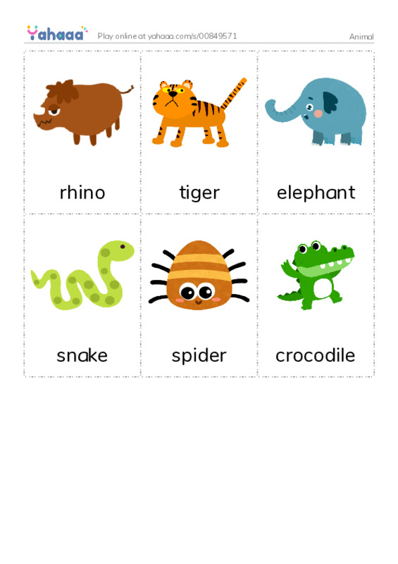 Picture flashcards worksheet for Animal