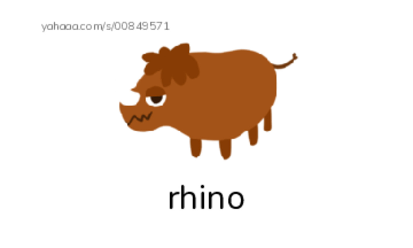 Index cards with pictures worksheet for Animal