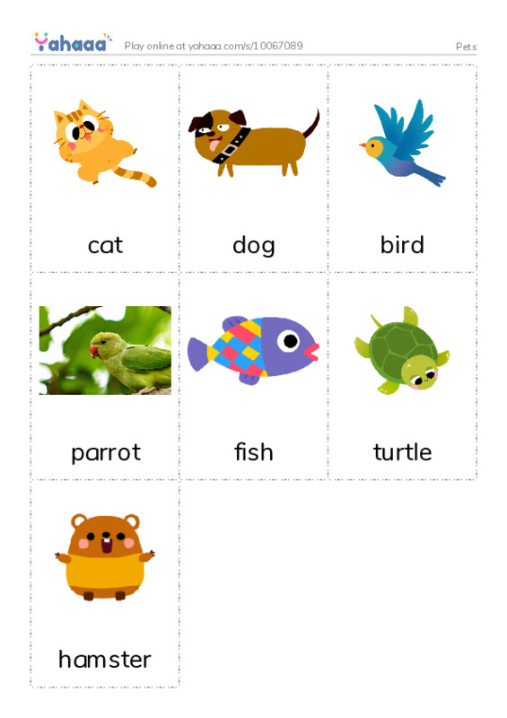 Picture flashcards worksheet for Pets