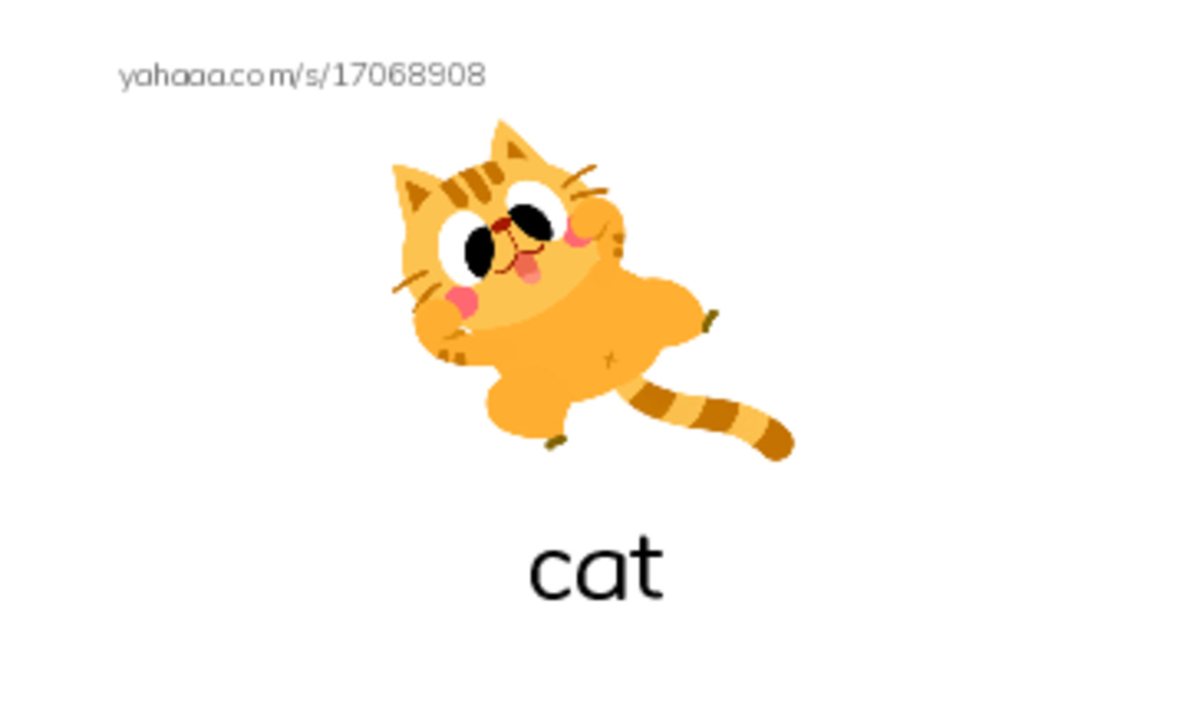 Index cards with pictures worksheet for Pets