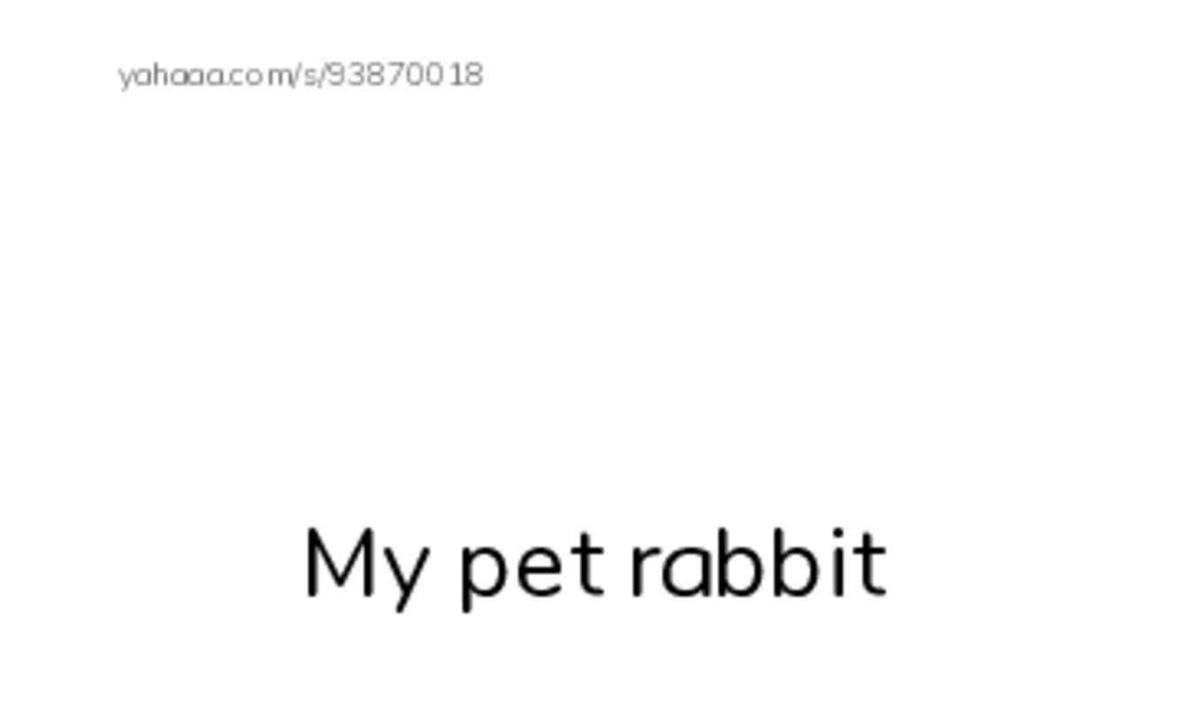 Index cards with pictures worksheet for My pet rabbit, Pet, A pet is an animal that lives in your house and 4 more