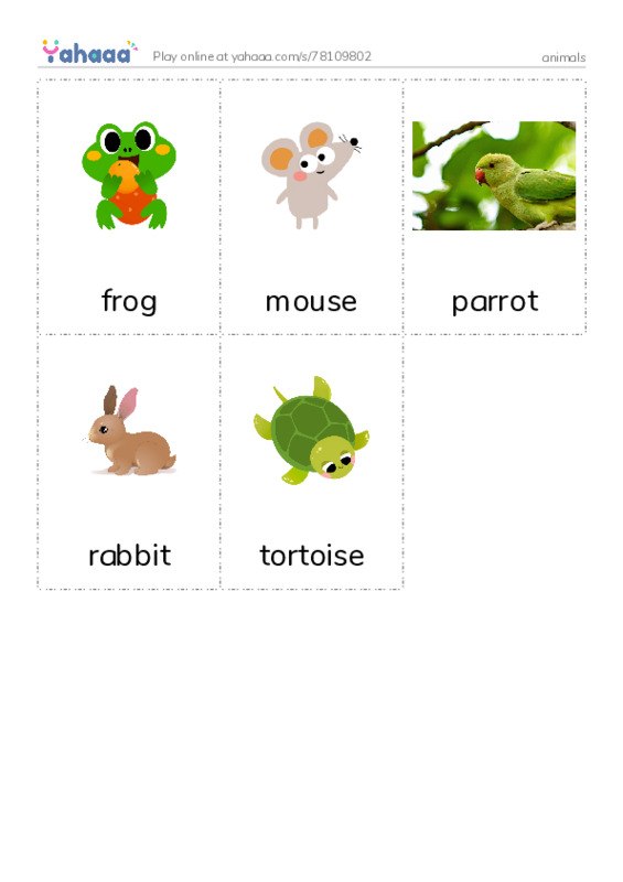 Picture flashcards worksheet for animals