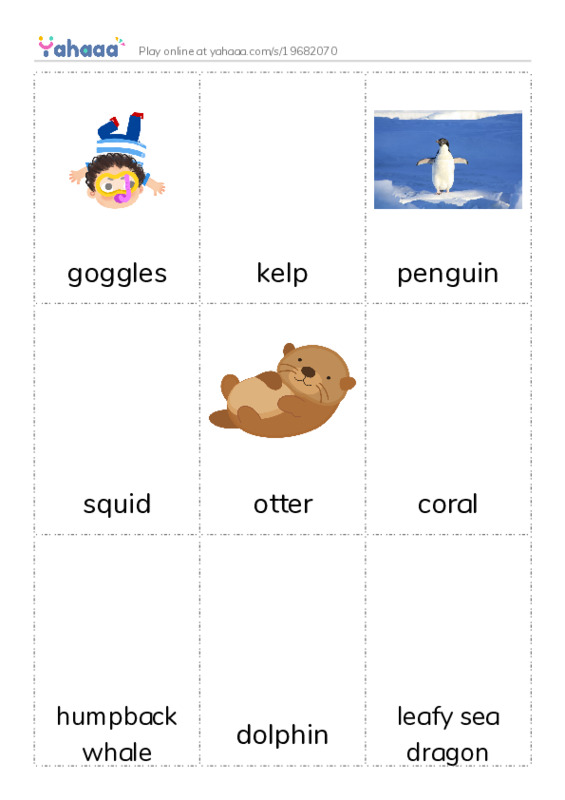 Picture flashcards worksheet for goggles, kelp, penguin and 7 more
