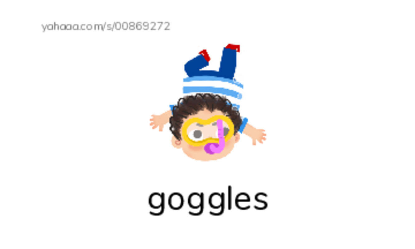 Index cards with pictures worksheet for goggles, kelp, penguin and 7 more