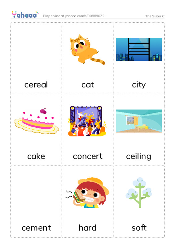 Picture flashcards worksheet for The Sister C