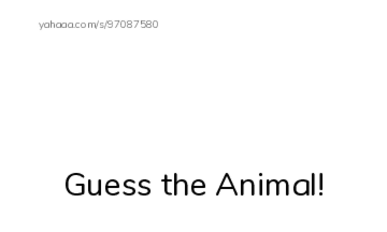 Index cards with pictures worksheet for Guess the Animal!, Wh, where and 13 more