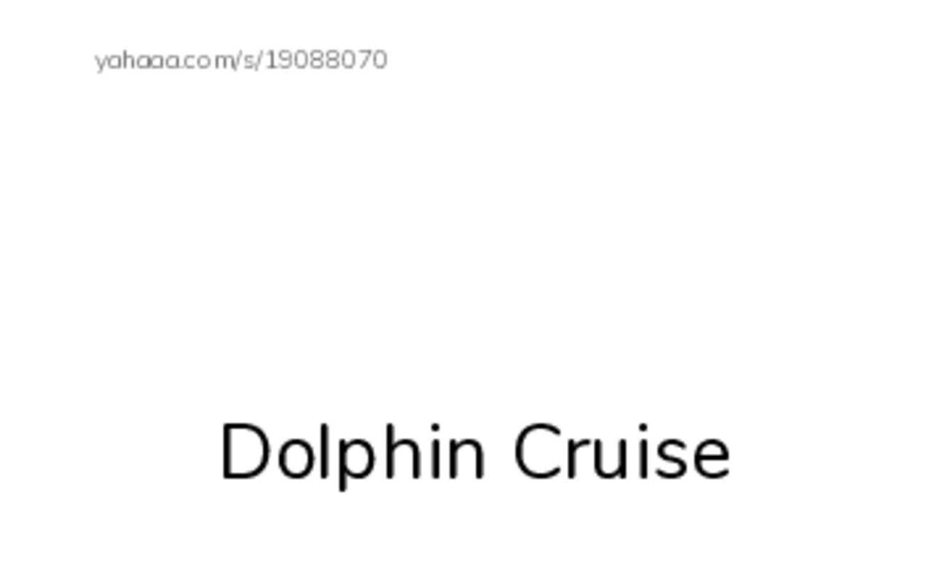 Index cards with pictures worksheet for Dolphin Cruise, Dolphin, Dolphins can jump very high and 4 more