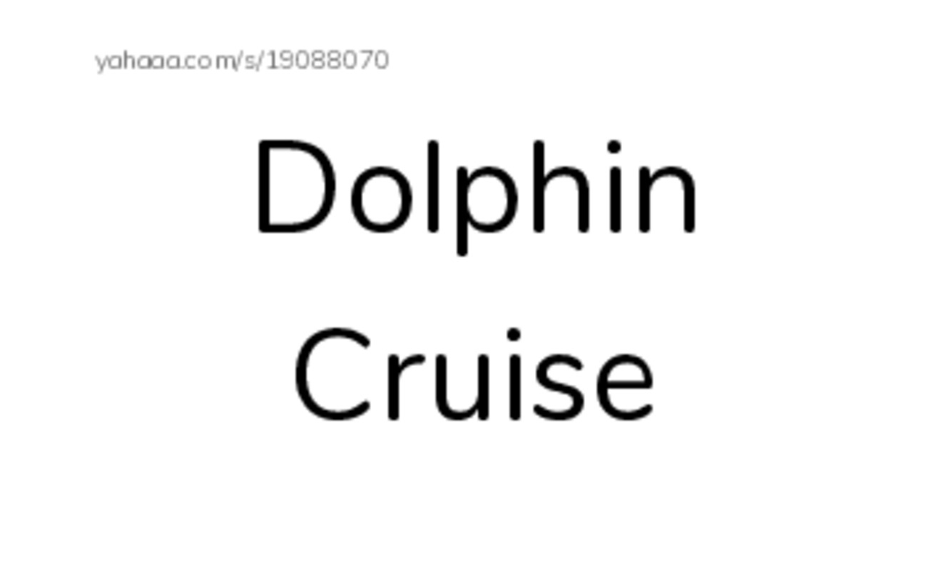 Index cards, words only worksheet for Dolphin Cruise, Dolphin, Dolphins can jump very high and 4 more