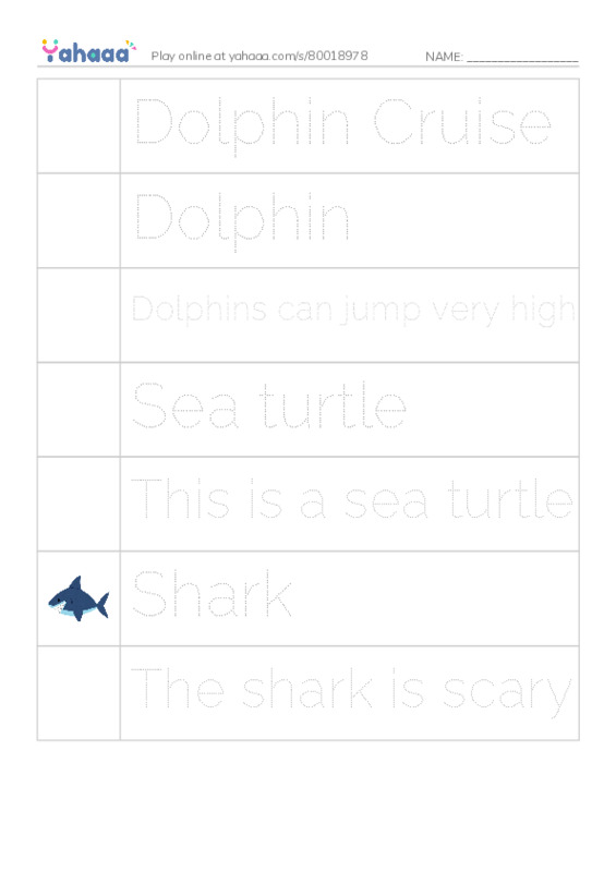 Picture and word rows worksheet for Dolphin Cruise, Dolphin, Dolphins can jump very high and 4 more
