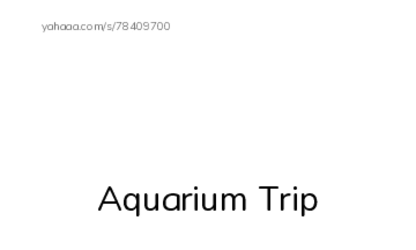 Index cards with pictures worksheet for Aquarium Trip, Y, Yorick and 14 more