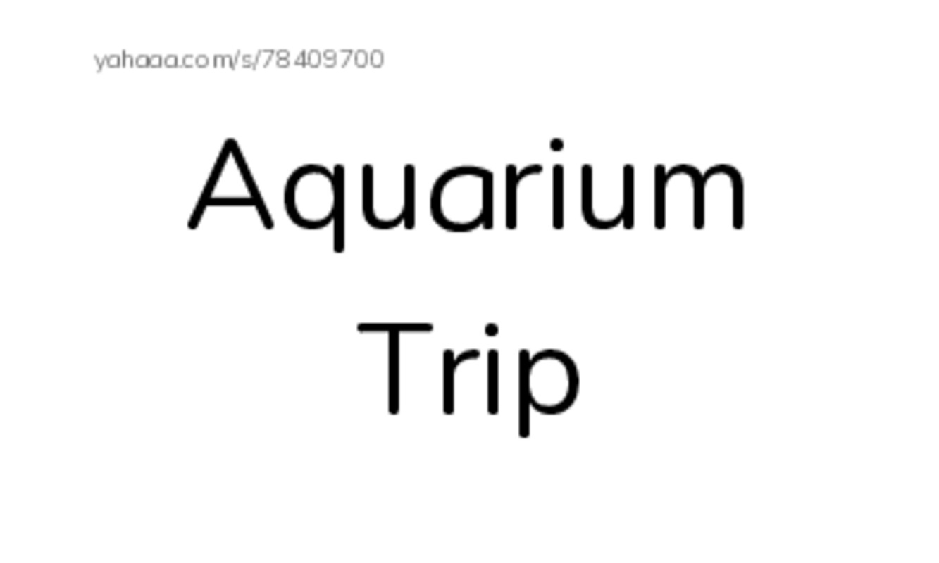Index cards, words only worksheet for Aquarium Trip, Y, Yorick and 14 more