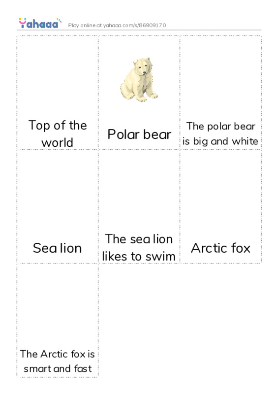 Picture flashcards worksheet for Top of the world, Polar bear, The polar bear is big and white and 4 more