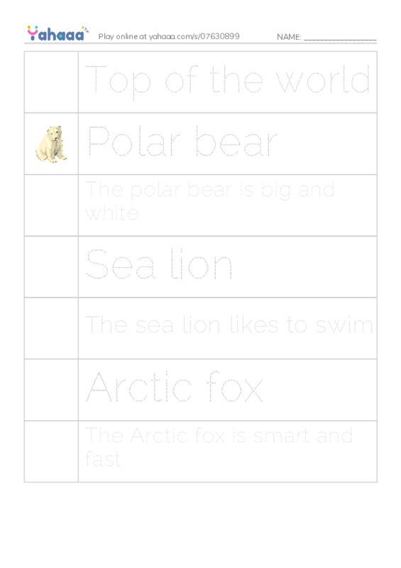 Picture and word rows worksheet for Top of the world, Polar bear, The polar bear is big and white and 4 more