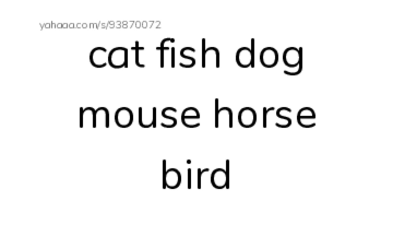 toys PDF index cards word only