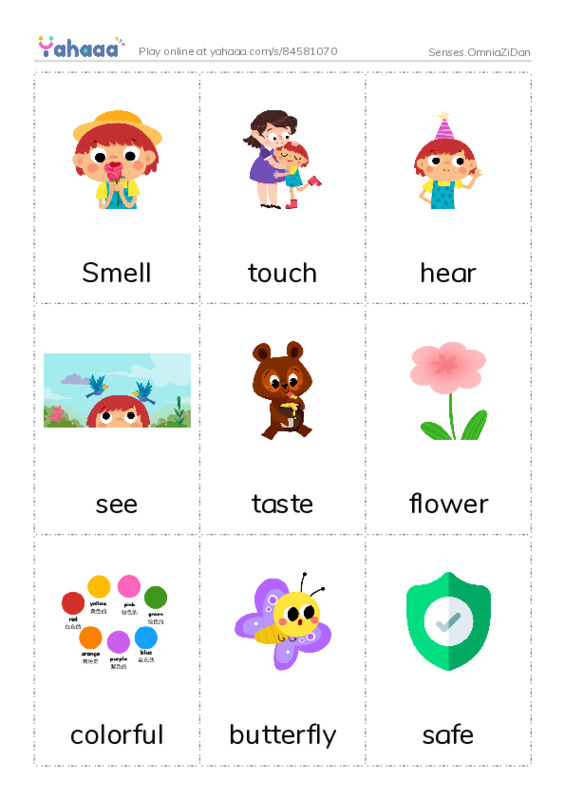 Picture flashcards worksheet for Senses.OmniaZiDan