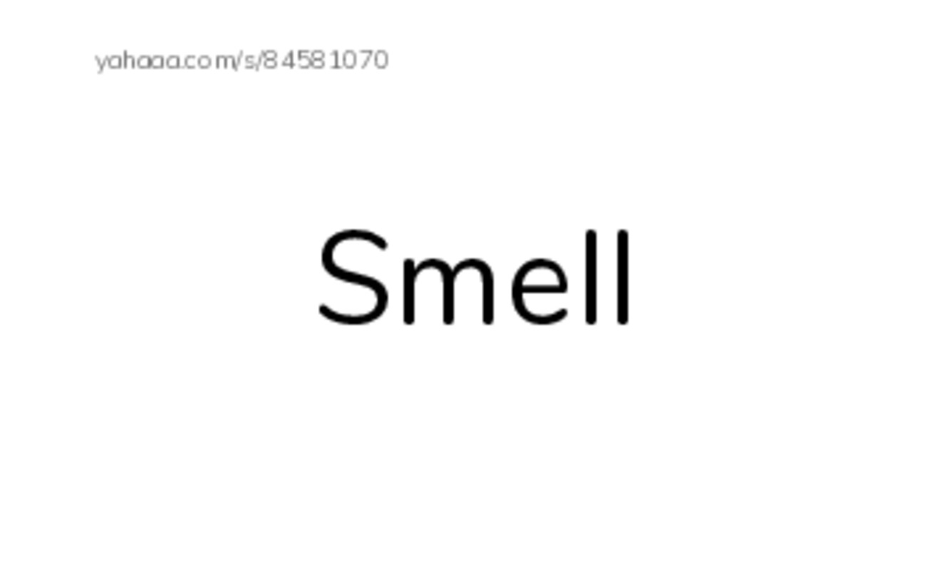 Index cards, words only worksheet for Senses.OmniaZiDan