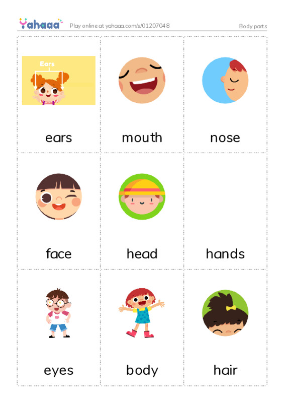 Picture flashcards worksheet for Body parts Omnia ZiDan