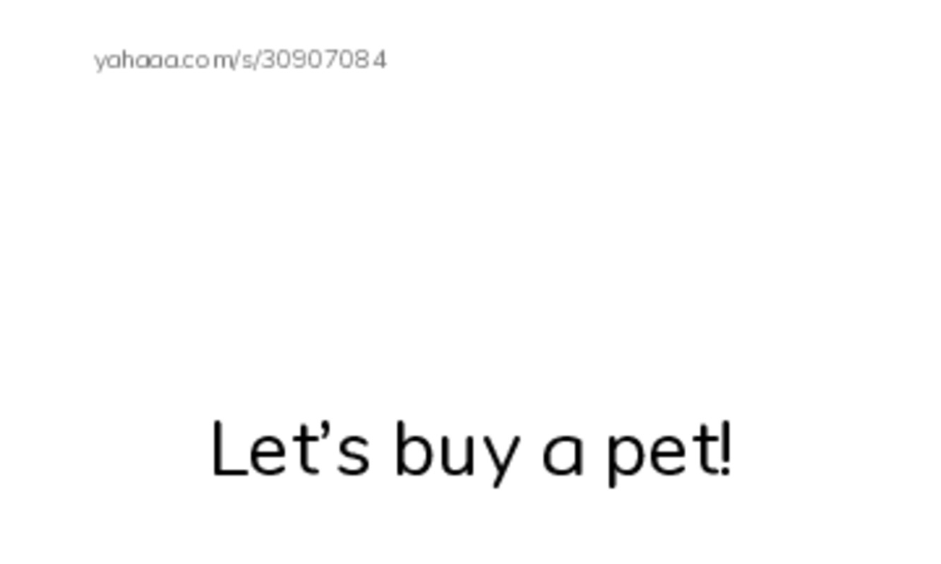 Index cards with pictures worksheet for Let’s buy a pet!, Sixteen, sixteen and 10 more