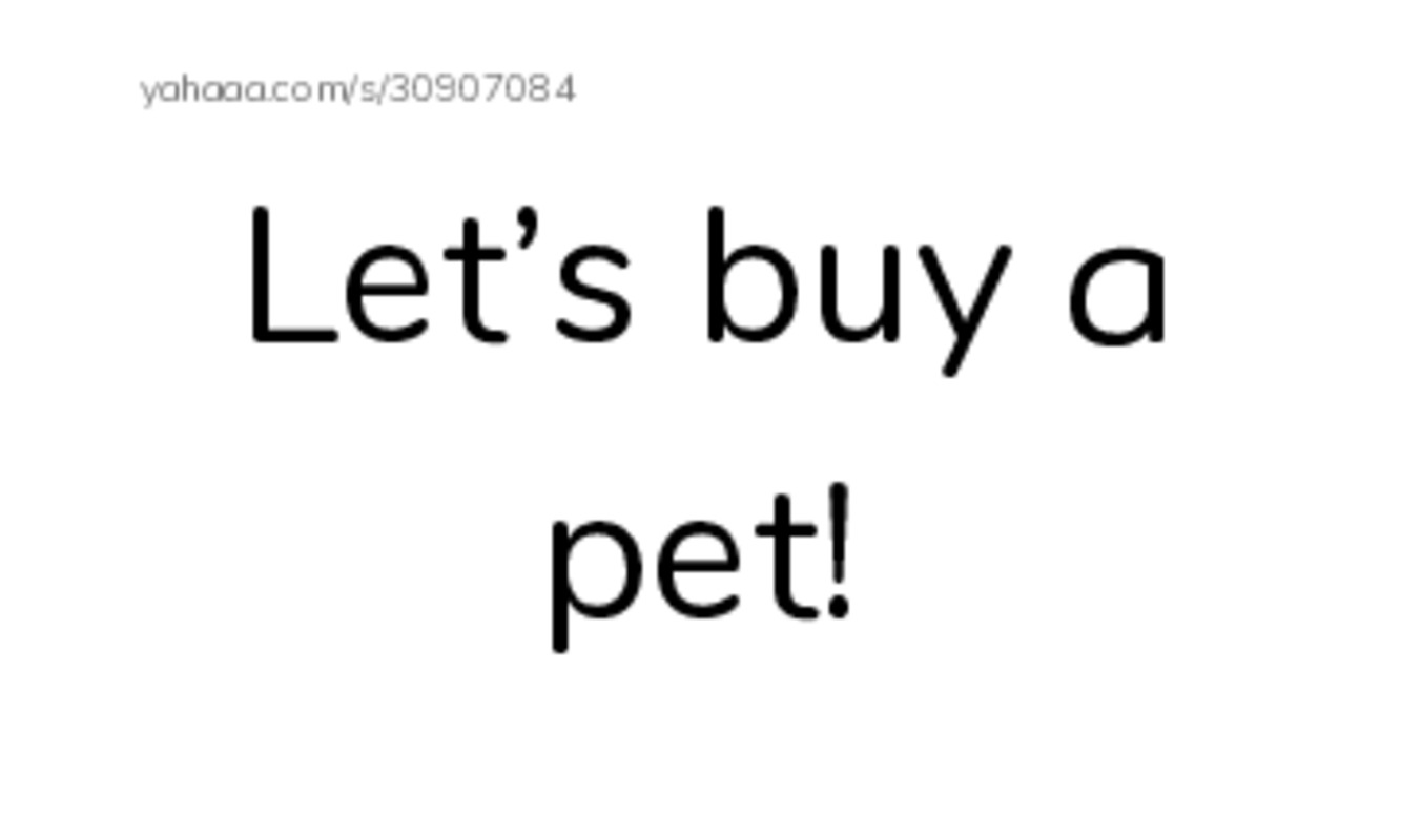 Index cards, words only worksheet for Let’s buy a pet!, Sixteen, sixteen and 10 more