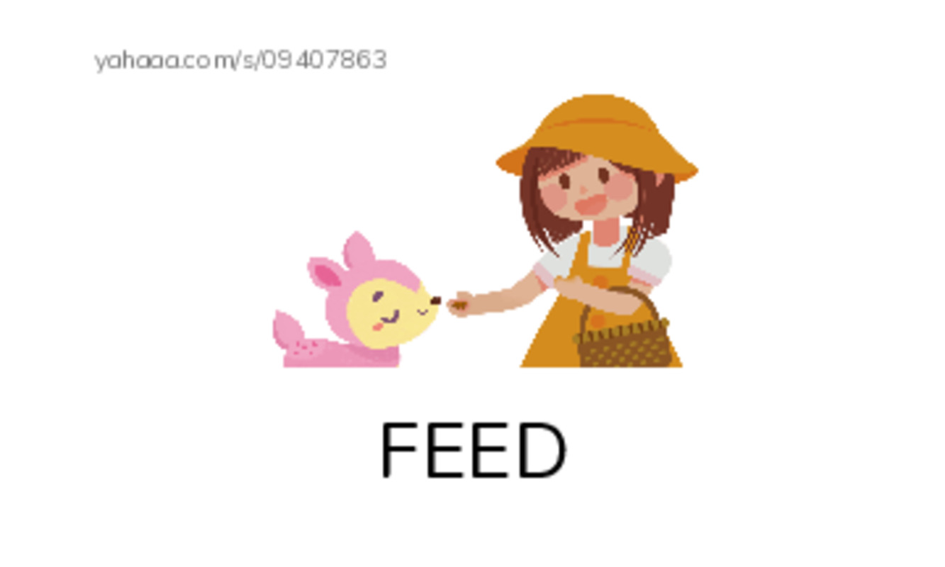 Index cards with pictures worksheet for RAZ E THE CLASS PET