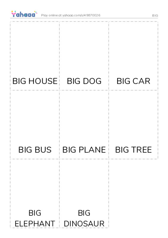 Picture flashcards worksheet for BIG