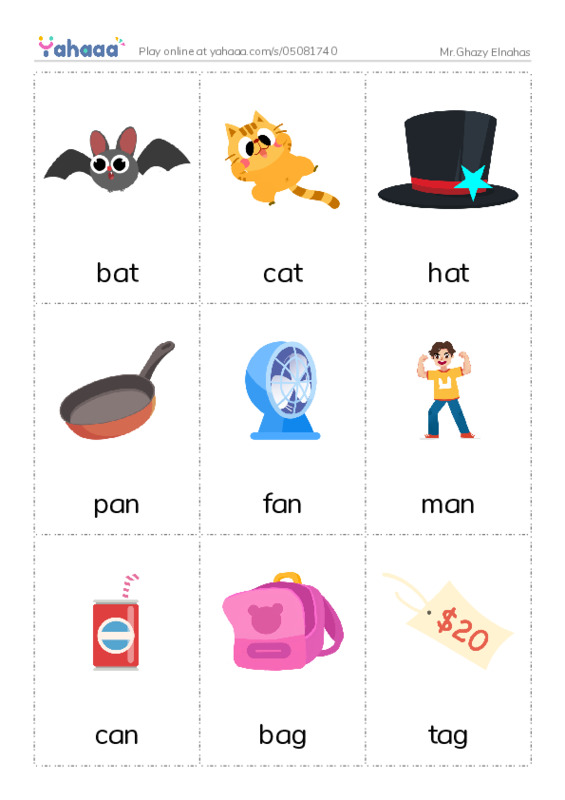 Picture flashcards worksheet for Mr.Ghazy Elnahas