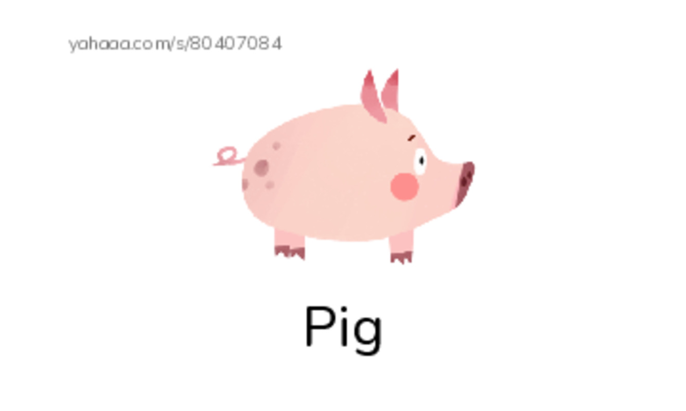 Index cards with pictures worksheet for Gia Linh