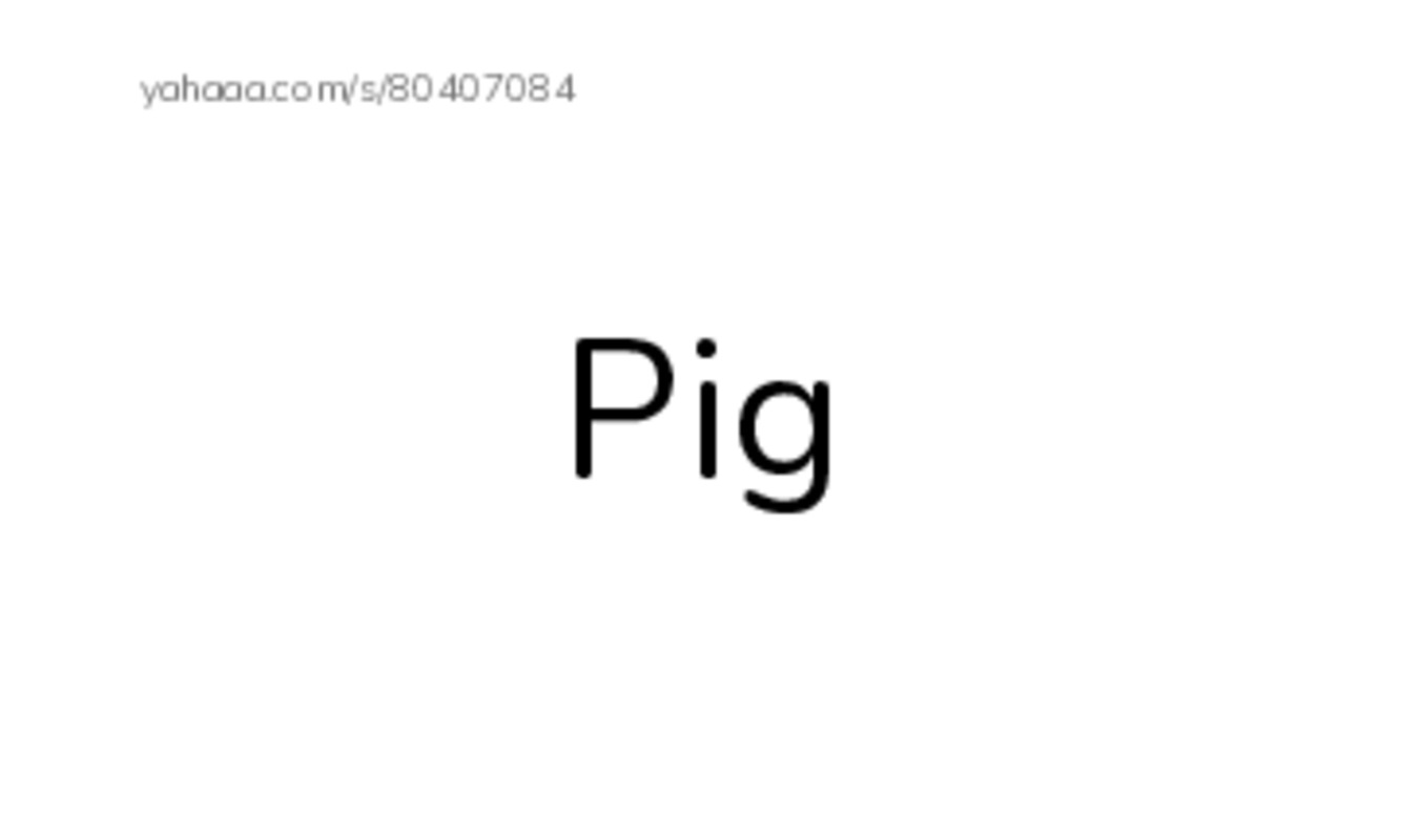 Index cards, words only worksheet for Gia Linh