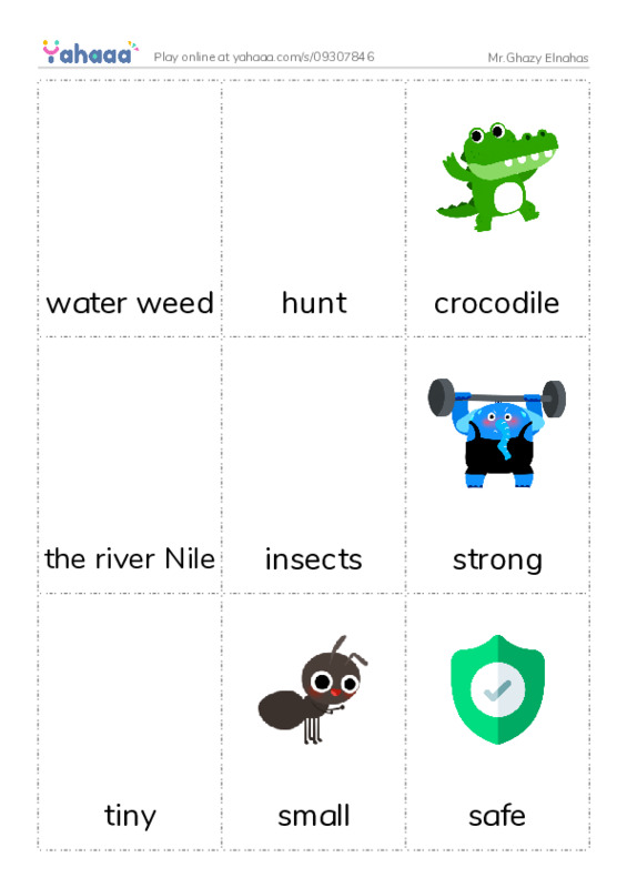 Picture flashcards worksheet for Mr.Ghazy Elnahas