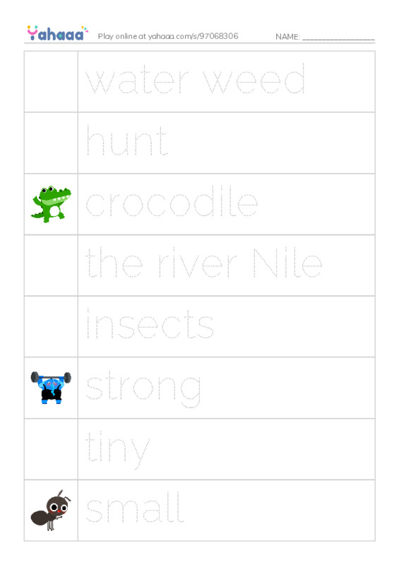 Picture and word rows worksheet for Mr.Ghazy Elnahas