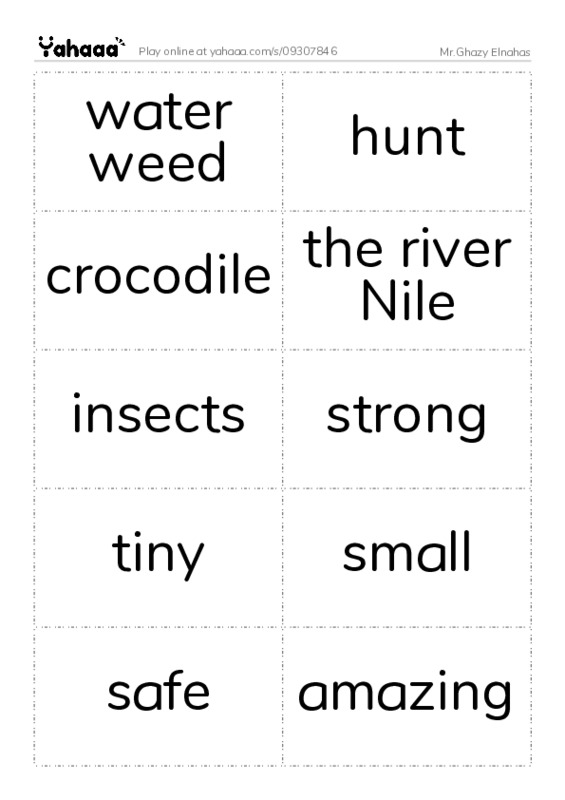 Word flashcards worksheet for Mr.Ghazy Elnahas