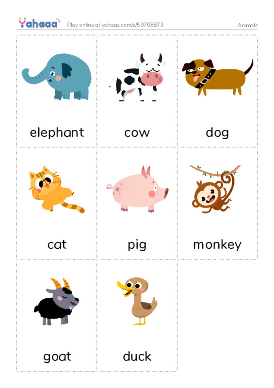 Picture flashcards worksheet for Animals