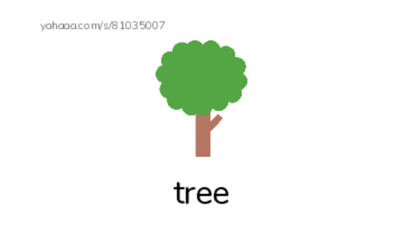 Index cards with pictures worksheet for Grade 1 Unit 2 lesson1