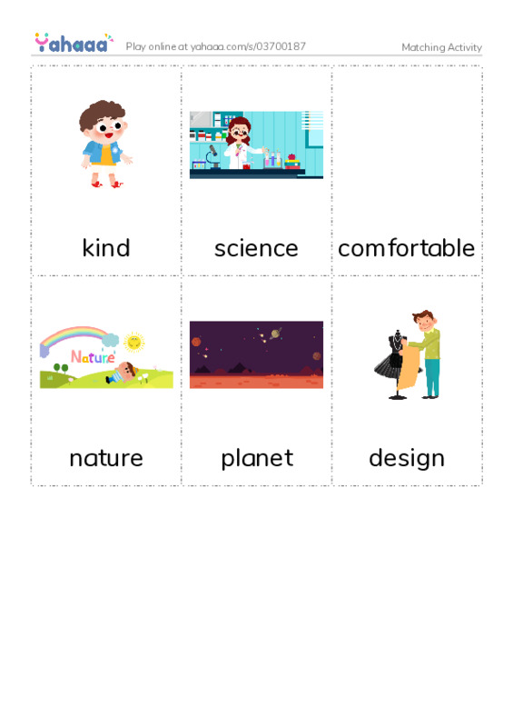 Picture flashcards worksheet for Matching Activity