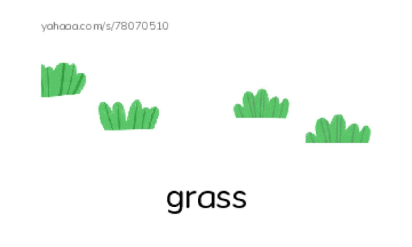 Index cards with pictures worksheet for Grade 1 Unit 2 lesson 1