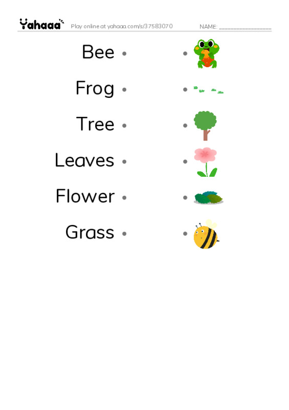 Draw a line to match worksheet for Kiwi English Center