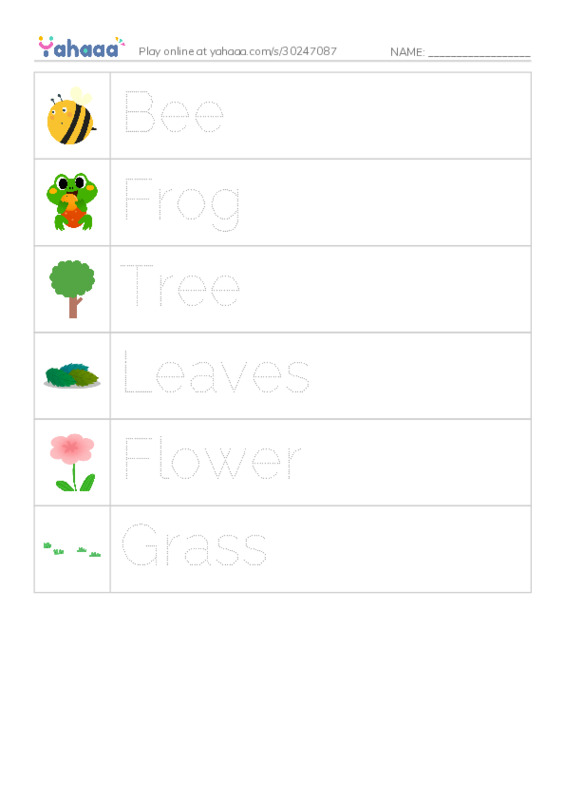 Picture and word rows worksheet for Kiwi English Center