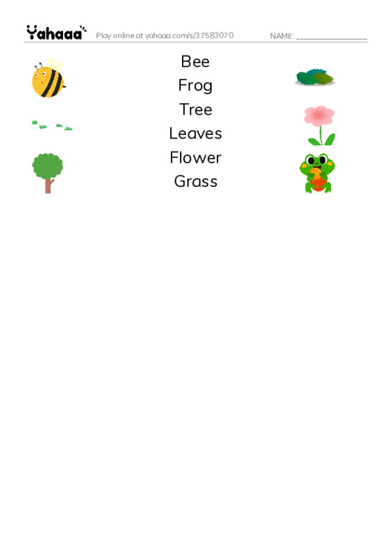 Match both sides worksheet for Kiwi English Center
