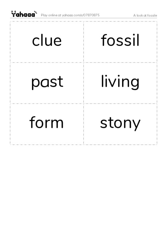 Word flashcards worksheet for A look at fossile