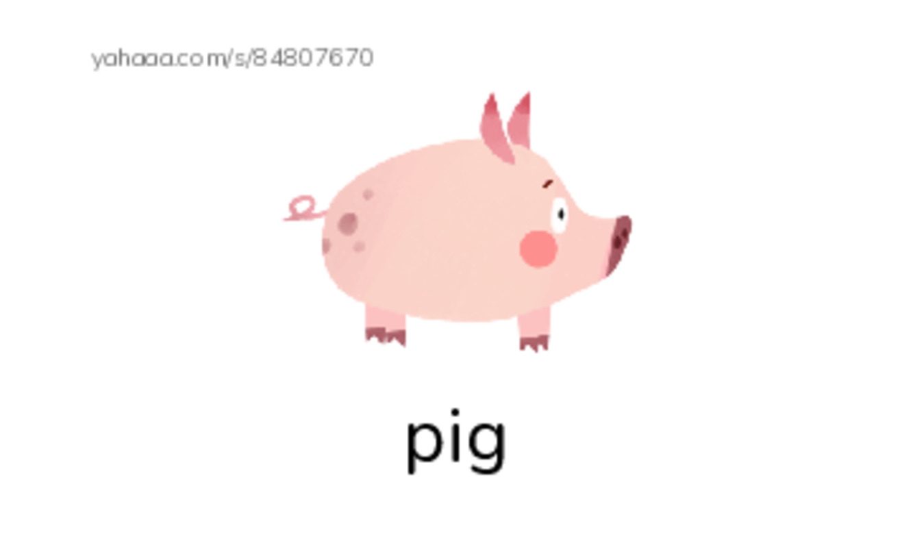 Index cards with pictures worksheet for Unit 4-ilearn-2