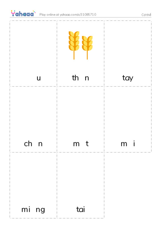 Picture flashcards worksheet for Cơ thể